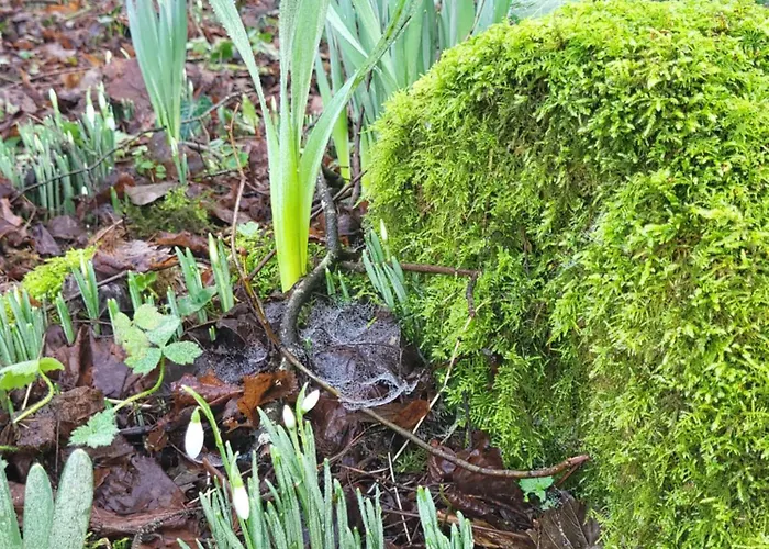 Oak Forest 아파트